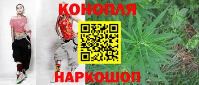 дмт Кинель