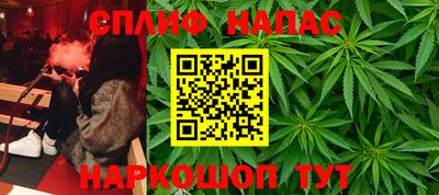 дмт Кинель