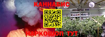 ГАЛЛЮЦИНОГЕННЫЕ ГРИБЫ Кингисепп
