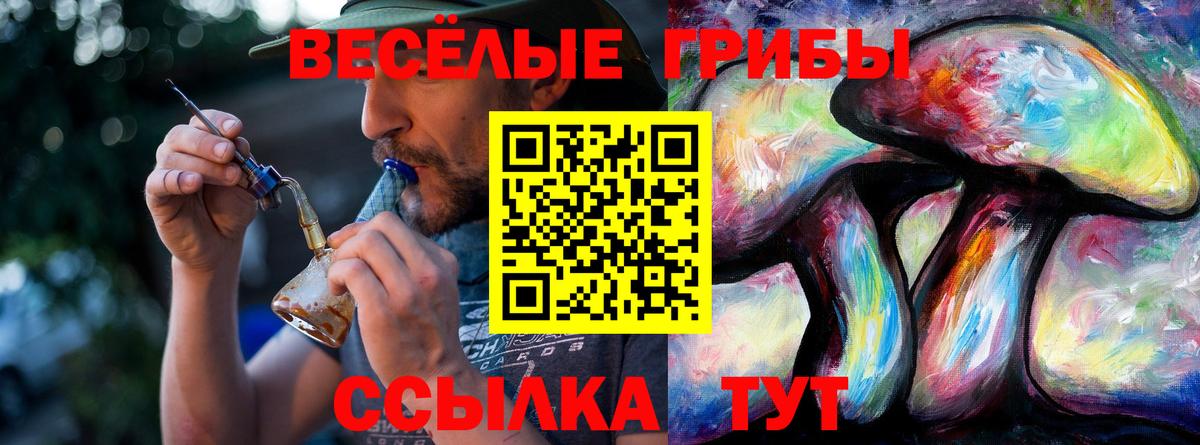 Галлюциногенные грибы мухоморы  Вход с VPN  как найти наркотики  Камышин 